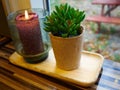 Cozy warm atmosphere by candle and a plant by the window Royalty Free Stock Photo