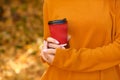 Cozy warm photo of craft cup of hot coffee in hands against background of fallen orange and yellow leaves. shallow depth of field Royalty Free Stock Photo