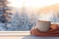 Cozy warm winter composition with cup of hot coffee or chocolate, cozy blanket and snowy landscape on sunny winter day. Christmas Royalty Free Stock Photo