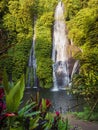 Cozy waterfall and exotic plants in tropics. Jungle cascade waterfall in tropical rainforest at Bali