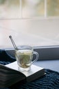 Cozy winter autumn still life: cup of hot tea, warm plaid and opened book on windowsill. Minimal unplug calmness relax concept,