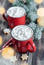 Christmas hot cocoa  in the red cup Royalty Free Stock Photo
