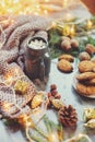 Cozy winter and Christmas setting with hot cocoa with marshmallows and homemade cookies Royalty Free Stock Photo