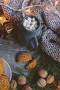 Cozy winter and Christmas setting with hot cocoa with marshmallows and homemade cookies Royalty Free Stock Photo