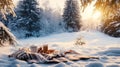 A cozy winter picnic in the snow, with blankets, hot chocolate, and Royalty Free Stock Photo