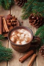 Cozy winter still life. Cup of hot cocoa with marshmallows and cinnamon on rustic wooden table.