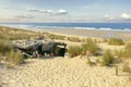 Cozy wooden hut on wild beach