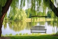 a cozy wooden swing by the lakeside under a weeping willow