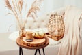Cozycore or cottagecore concept, warm soft brown beige interior design objects.
