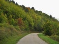 Cozzano Pineta province of Parma - Italy - Road in the woods in Autumn