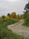 Cozzano Pineta province of Parma - Italy - Stony path on the mountain in Autumn