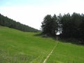 Cozzano Pineta, Provincia di Parma,Italy, path on the mountain