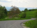 Cozzano Pineta, Provincia di Parma,Italy, a way in the mountain