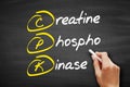 CPK - creatine phosphokinase acronym, concept on blackboard