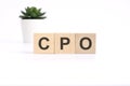 CPO - Cost Per Order - acronym on wooden cubes on white background. business concept Royalty Free Stock Photo