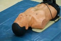 CPR dummy training for emergency refresher training to assist Royalty Free Stock Photo