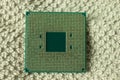 CPU back side with pins. Central Processing Unit of PC.