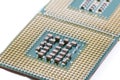 CPU Central Processing Unit or Microchip Computer isolated on white background Royalty Free Stock Photo