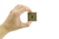 CPU chip in hand white isolate Royalty Free Stock Photo