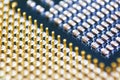 Cpu gold pins and chip, microchip processor legs computer component technology. Macro photography Central processing unit - comput Royalty Free Stock Photo