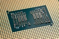 cpu gold pins microchip processor computer component technology. Macro photography Central processing unit - computing Royalty Free Stock Photo