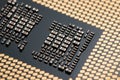 cpu gold pins microchip processor computer component technology. Macro photography Central processing unit - computing Royalty Free Stock Photo