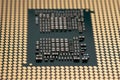 cpu gold pins microchip processor computer component technology. Macro photography Central processing unit - computing Royalty Free Stock Photo