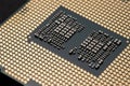 cpu gold pins microchip processor computer component technology. Macro photography Central processing unit - computing Royalty Free Stock Photo