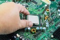 CPU in hand before installation into the motherboard Royalty Free Stock Photo