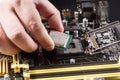 CPU in hand before installation into the motherboard. Royalty Free Stock Photo