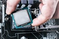 CPU in hand before installation into the motherboard. Top view Royalty Free Stock Photo