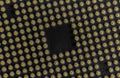 CPU Pin Grid Array - Close Tilted - Bottom of Computer Microprocessor