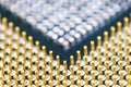 Cpu pins and chip, microchip processor legs computer component technology. Macro photography Royalty Free Stock Photo