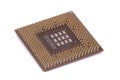 Cpu pins up the back glisten on a white background . isolated Royalty Free Stock Photo