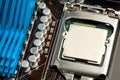 Cpu in the socket Royalty Free Stock Photo