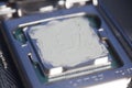 CPU with thermal paste applied. Royalty Free Stock Photo