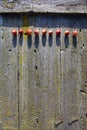 Crab apples on old wooden used background Royalty Free Stock Photo