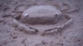 Crab on The beach. Royalty Free Stock Photo