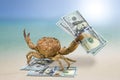 Crab on the beach and US dollars.