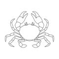 The crab. The black outline of the crab. A crustacean animal used in writing. Delicious and healthy food.