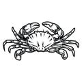 Crab  black and white drawing Red Gold Vintage Sea food illustration vector Royalty Free Stock Photo