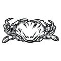 Crab  black and white drawing Red Gold Vintage Sea food illustration vector Royalty Free Stock Photo