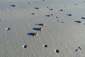 Crab burrows on sand beach Royalty Free Stock Photo