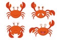 Cute cartoon red crabs vector set