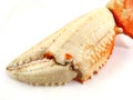 Crab Claw Royalty Free Stock Photo