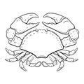 crab coloring page. Hand-drawn zodiac cancer . Horoscope symbol for your use. For tattoo art, coloring book. Coloring page for