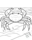 Crab coloring pages for small kids