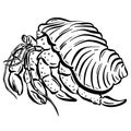 Crab Crustacean Shell Vector Cartoon Illustration