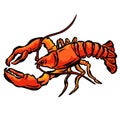 Crab Crustacean Shell Vector Cartoon Illustration Shrimp Shellfish