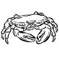 Crab Crustacean Shell Vector Cartoon Illustration Shrimp Shellfish